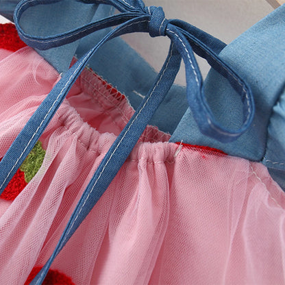 Embroidered Strawberry Cool Princess Dress